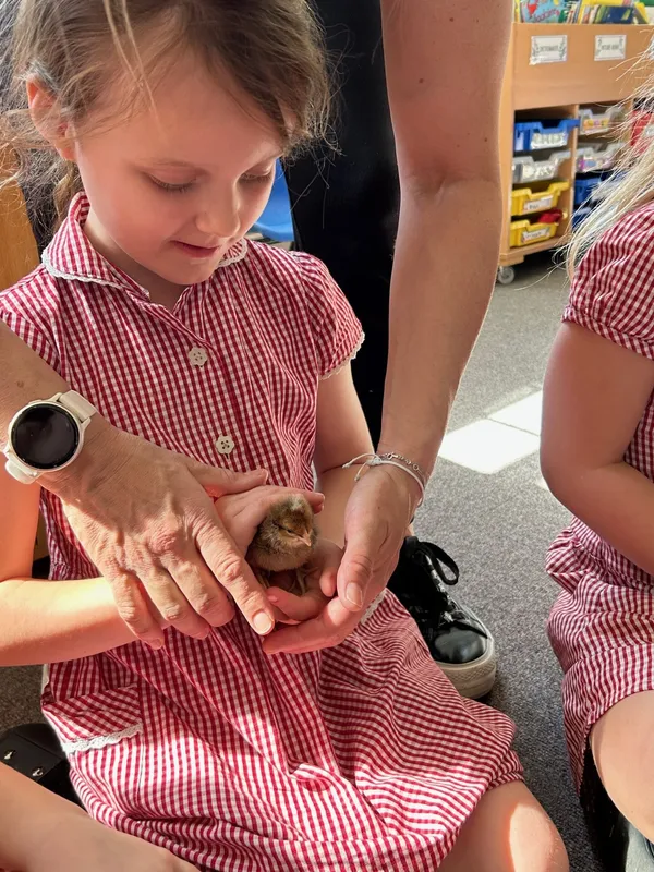 Gallery - created at 2025-05-15 20:09:46 - image 15