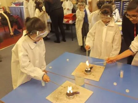 Gallery - created at 2018-01-17 17:01:08 - image 6