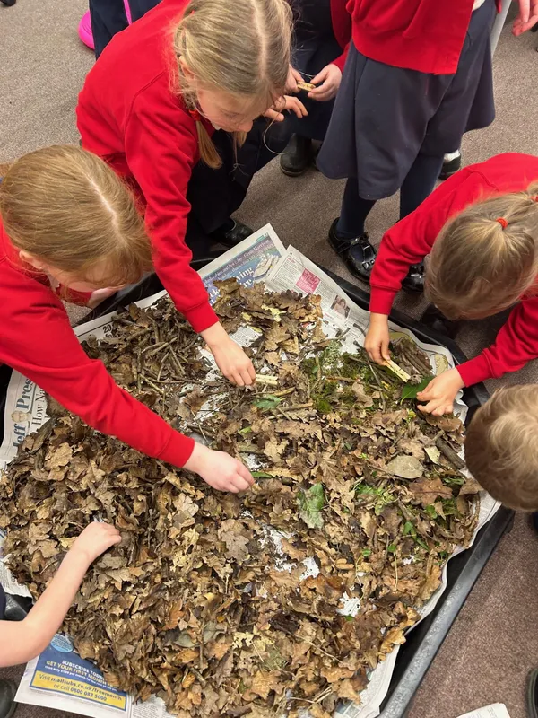 Science Week  - image 5