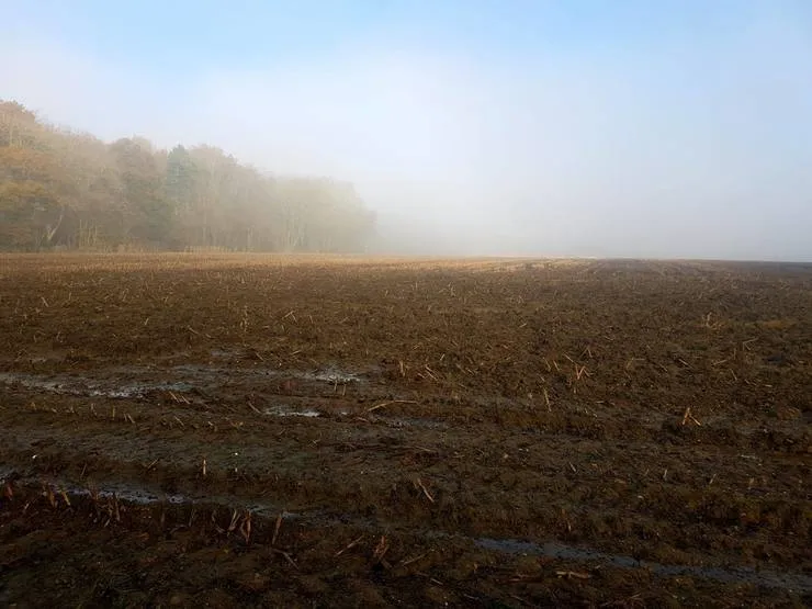 Gallery 2 - image 27