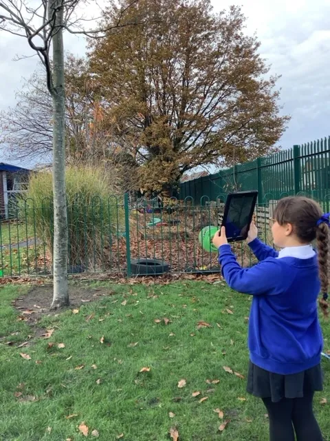 Enrichment - image 3 Enrichment - image 3