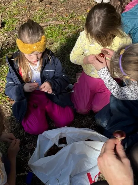 Gallery - created at 2022-10-17 20:44:00 - image 8