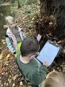 Forest School 88 - image 4 Forest School 88 - image 4
