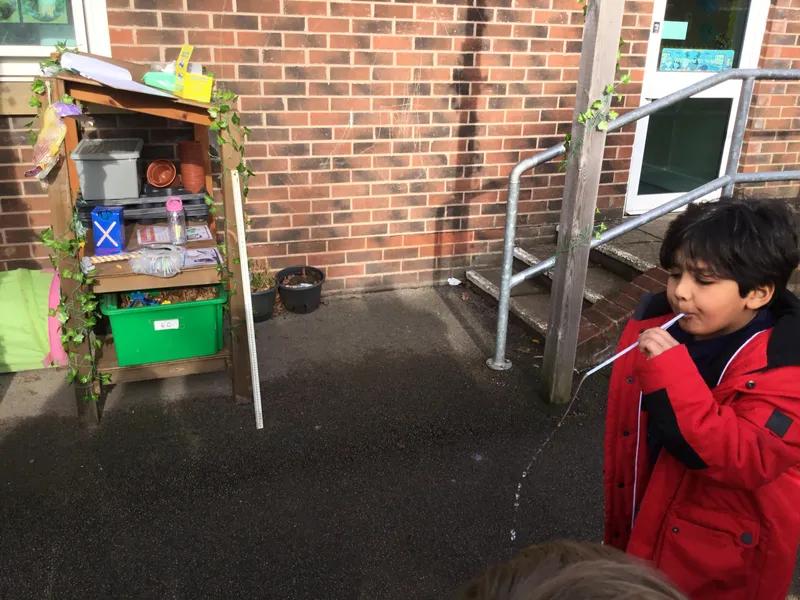 Gallery - created at 2022-02-12 23:06:23 - image 15