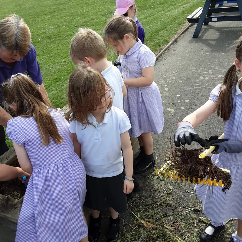 Gallery - created at 2025-06-23 10:33:29 - image 10 Gallery - created at 2025-06-23 10:33:29 - image 10