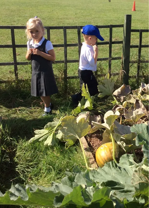 Gallery - created at 2020-02-19 13:46:28 - image 2