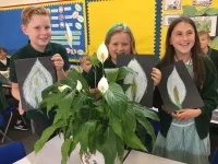 Admissions - image 4