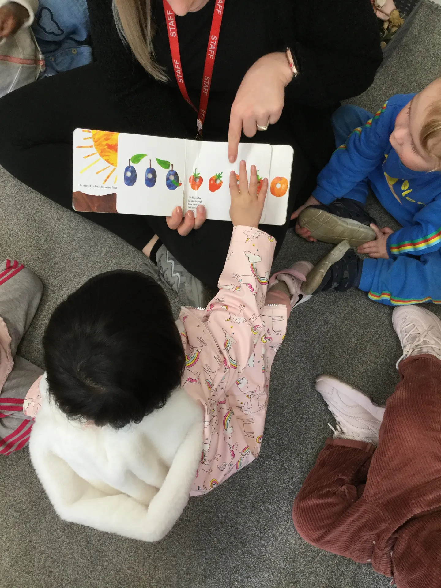 Life Cycles - image 3