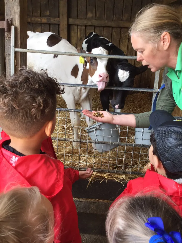 Smithills Farm - image 10