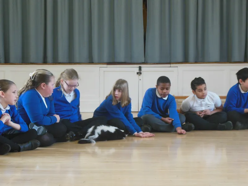 Y6 Reptile Rendezvous - image 27