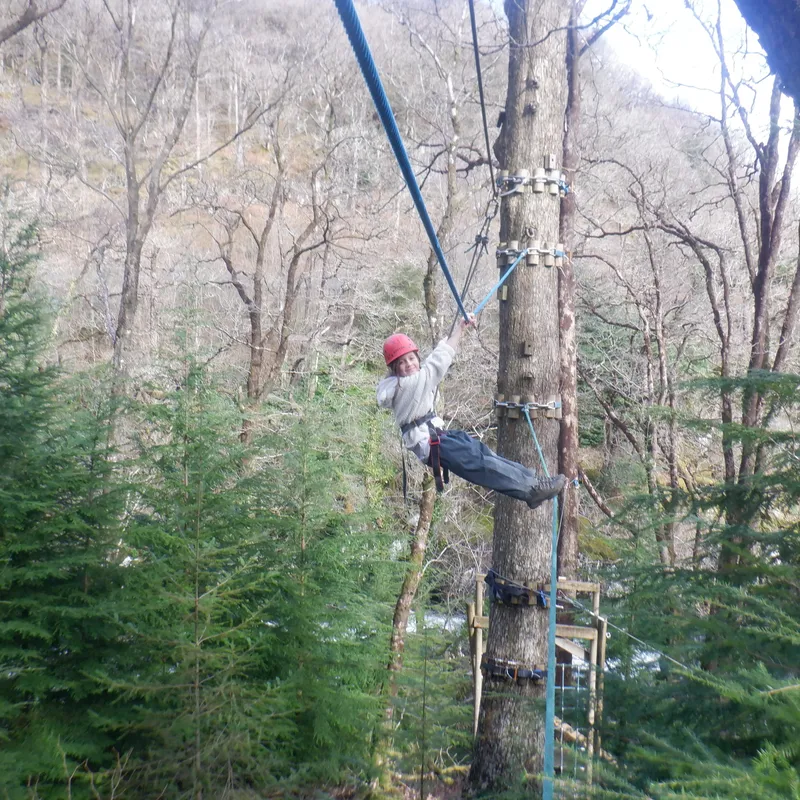 Gallery - created at 2025-02-27 19:57:56 - image 21