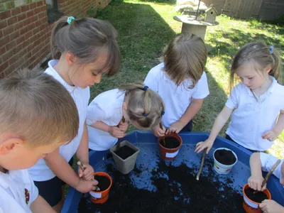 Planting - image 52