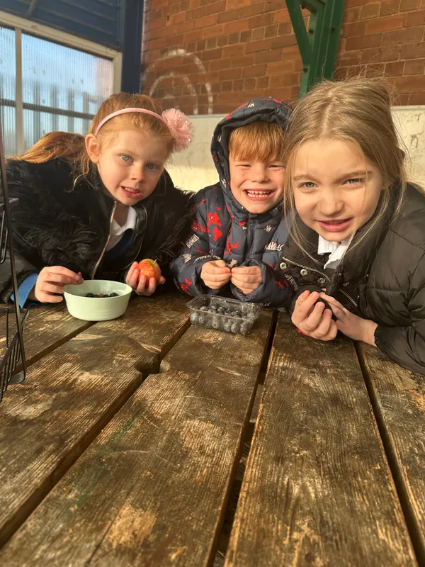 Tesco Fruit & Veg Scheme - image 5 Tesco Fruit & Veg Scheme - image 5