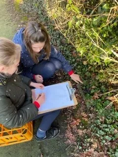 Gallery - created at 2023-01-24 16:02:32 - image 16