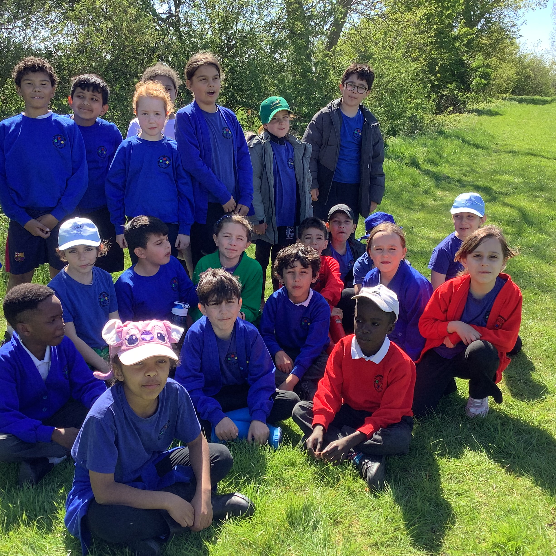 Wagtails visit the farm!