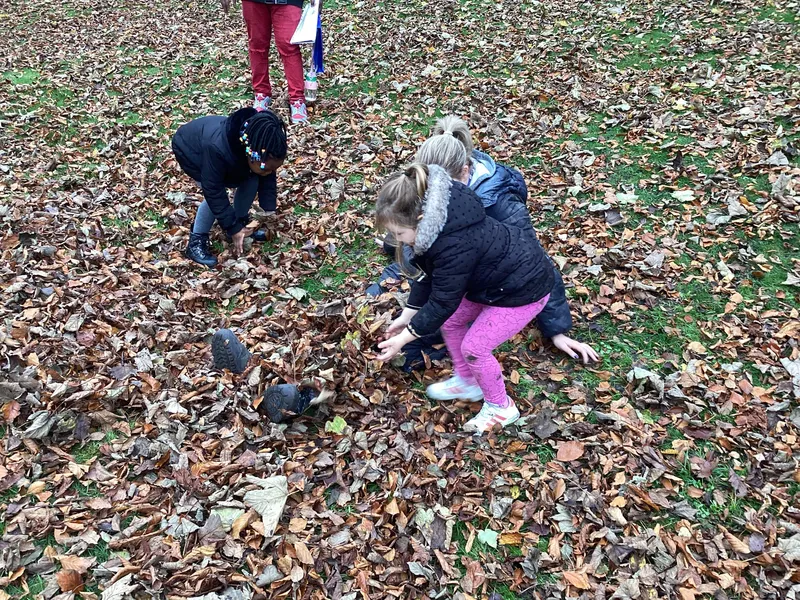 Gallery - created at 2024-11-08 10:10:59 - image 24 Gallery - created at 2024-11-08 10:10:59 - image 24