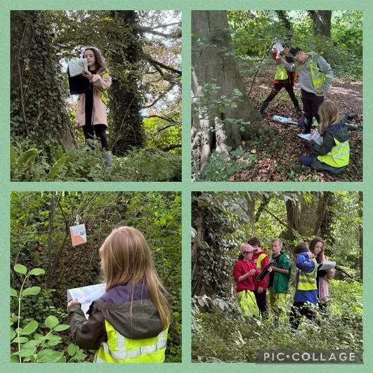 Forest School 3 - image 2 Forest School 3 - image 2