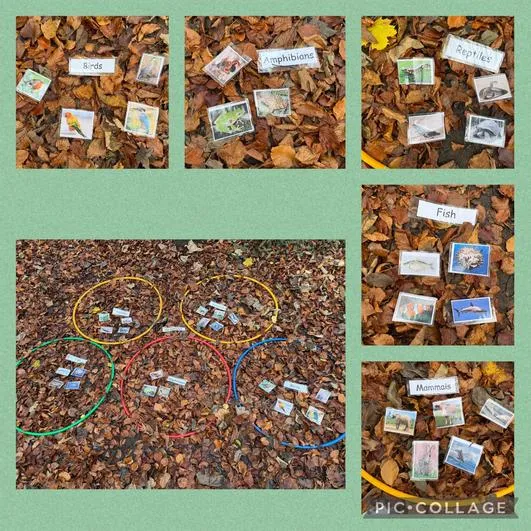 Forest School 25 - image 4 Forest School 25 - image 4