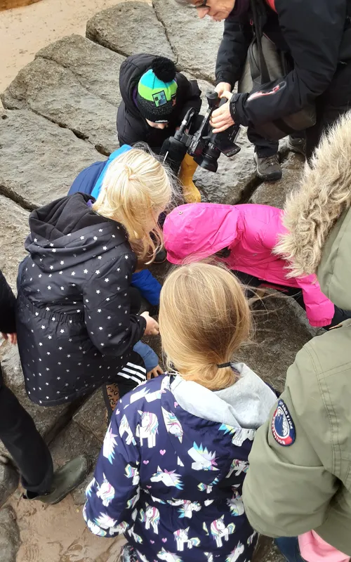 Gallery - created at 2024-10-11 14:26:20 - image 22 Gallery - created at 2024-10-11 14:26:20 - image 22