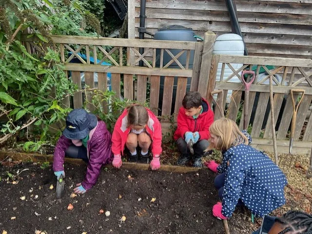 Looking after the Peace Garden - image 2