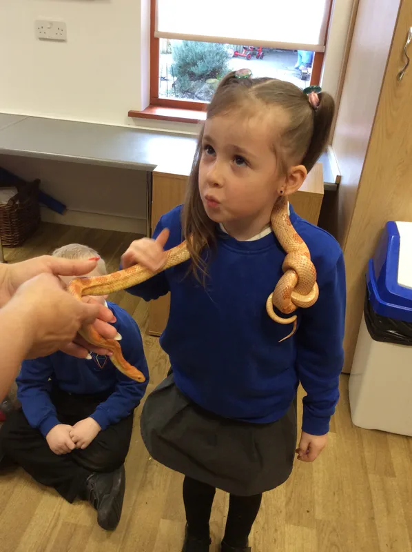 Gallery - created at 2024-02-26 17:15:57 - image 41 Gallery - created at 2024-02-26 17:15:57 - image 41