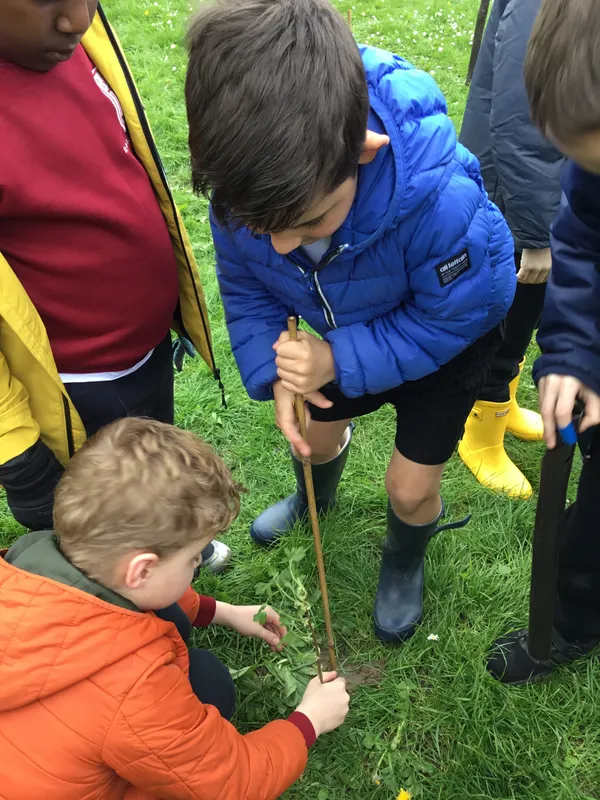 See our work in progress in this gallery! - image 26