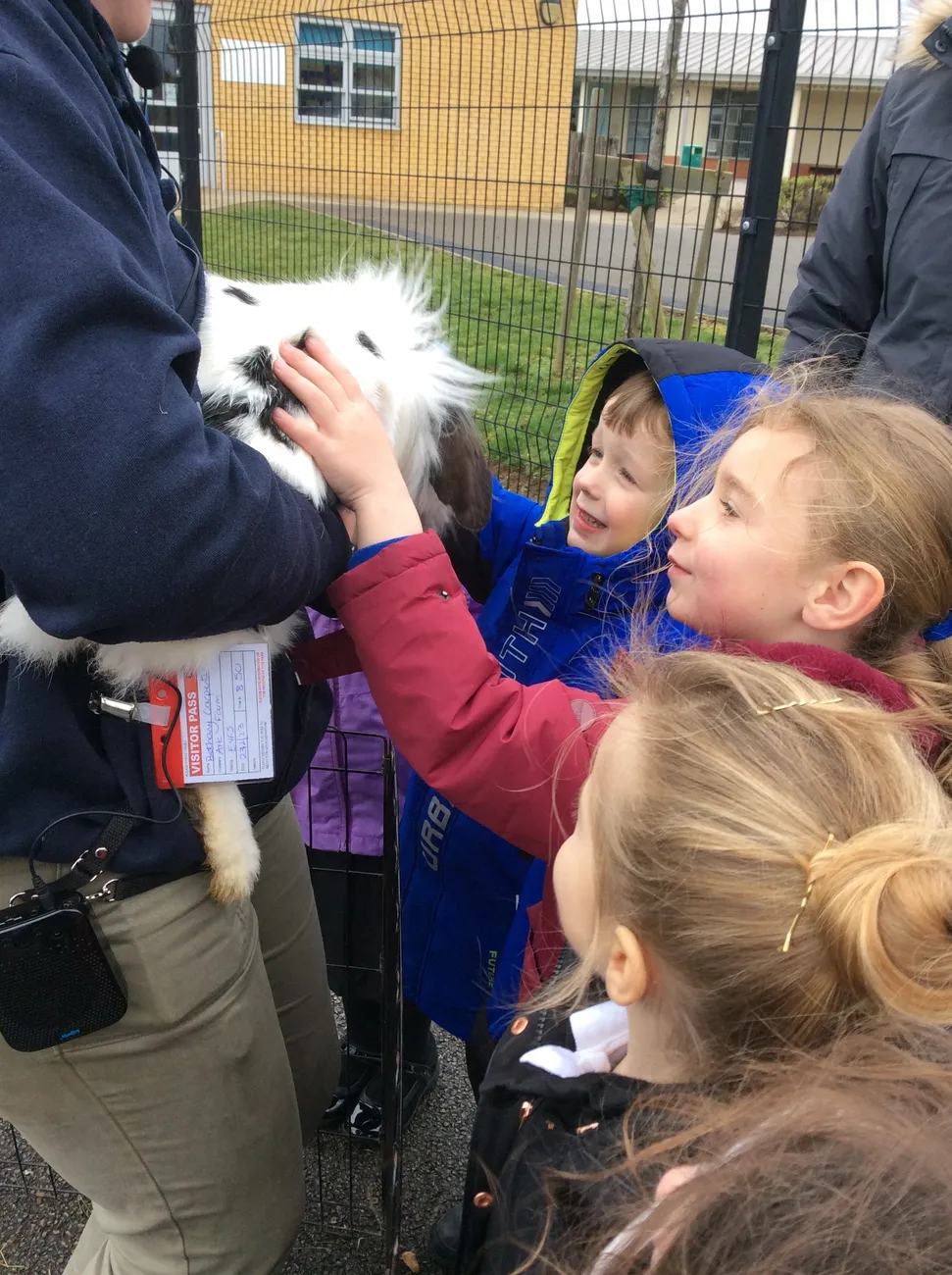 Gallery - created at 2023-03-03 16:33:51 - image 20