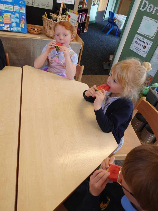 The Very Hungry Caterpillar Fruit Tasting - image 16 The Very Hungry Caterpillar Fruit Tasting - image 16