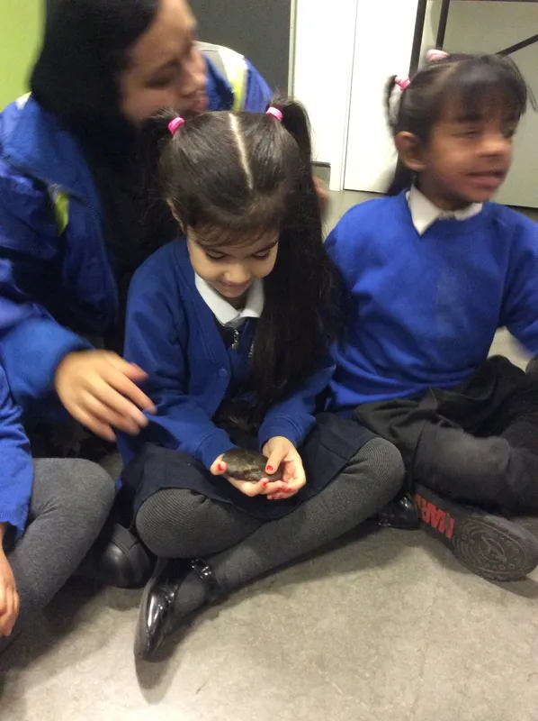 Gallery - created at 2024-02-15 10:35:32 - image 6 Gallery - created at 2024-02-15 10:35:32 - image 6