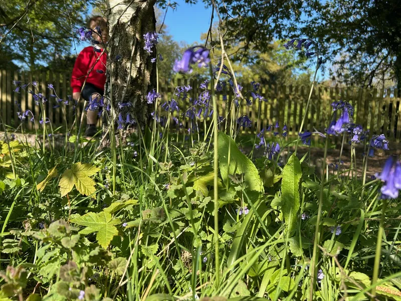 Week 3 - image 7