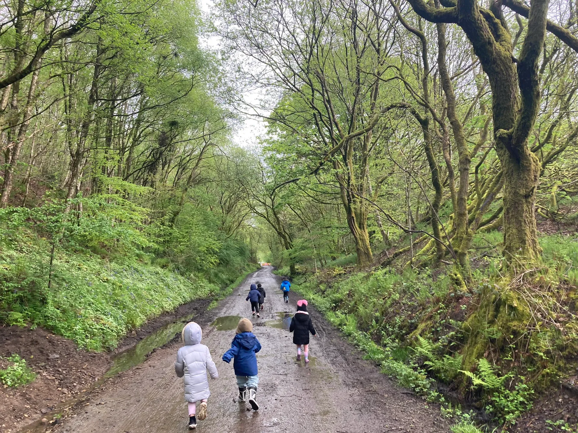 Healey Dell - image 5