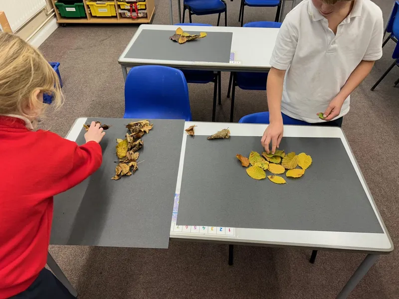 Gallery - created at 2024-11-15 12:36:22 - image 8