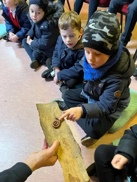 Gallery - created at 2023-03-02 18:35:22 - image 3