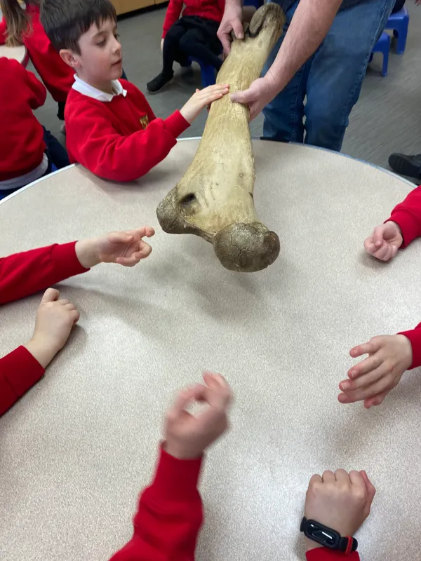 Gallery - created at 2024-01-16 20:24:51 - image 6 Gallery - created at 2024-01-16 20:24:51 - image 6