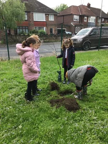 Gallery - created at 2024-12-05 13:35:53 - image 14 Gallery - created at 2024-12-05 13:35:53 - image 14