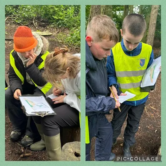 Summer 2024 - 3rd July - Oaks - Orienteering (Roman Numerals), Woodland Perfumes and Forest Games - image 1 Summer 2024 - 3rd July - Oaks - Orienteering (Roman Numerals), Woodland Perfumes and Forest Games - image 1