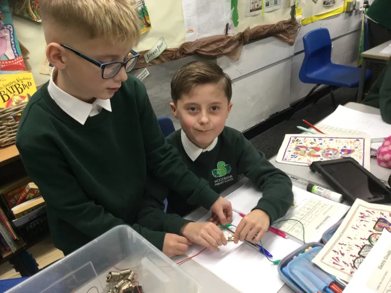 Chestnut - Y5 electricity experiment - image 12