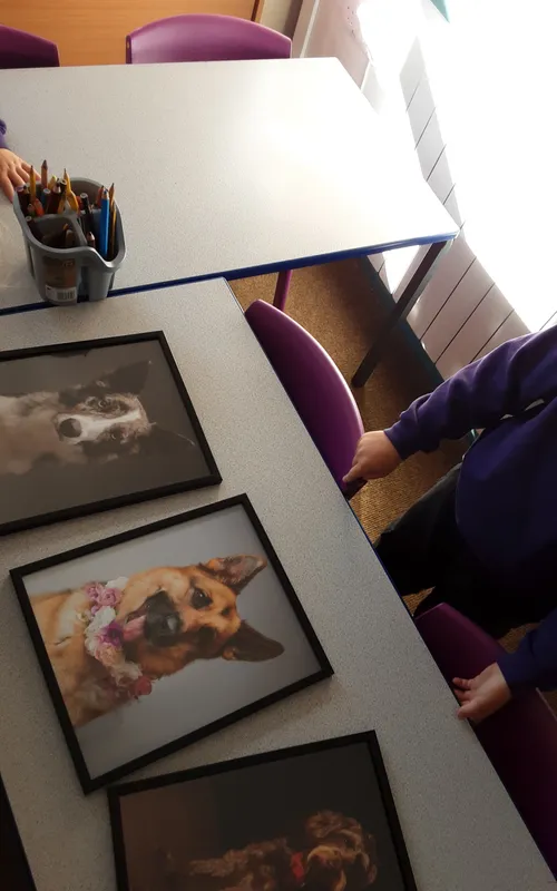 Gallery - created at 2024-09-26 10:17:01 - image 8 Gallery - created at 2024-09-26 10:17:01 - image 8