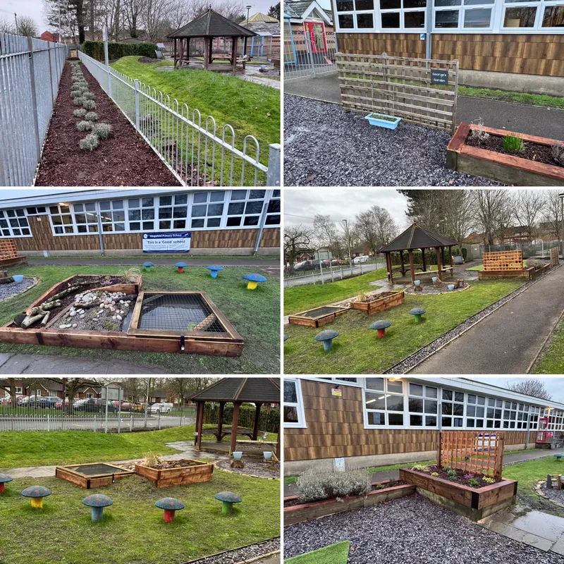 George's Garden - image 1