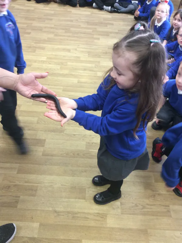 Gallery - created at 2024-03-05 13:52:56 - image 55 Gallery - created at 2024-03-05 13:52:56 - image 55