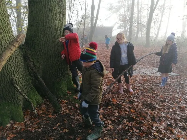 Gallery 2 - image 21