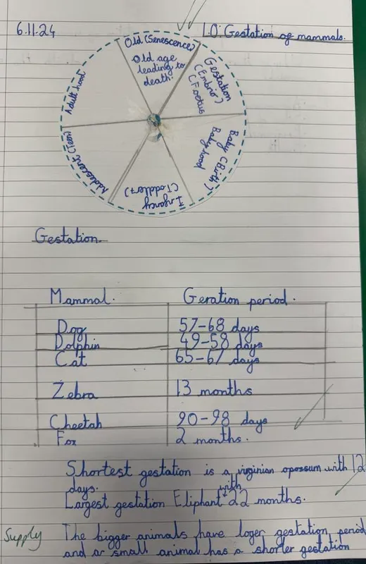 Gallery - created at 2025-01-04 10:24:52 - image 6