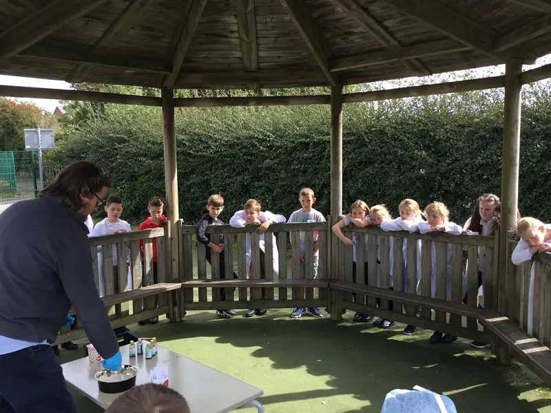 Gallery - created at 2019-09-17 19:22:10 - image 12 Gallery - created at 2019-09-17 19:22:10 - image 12