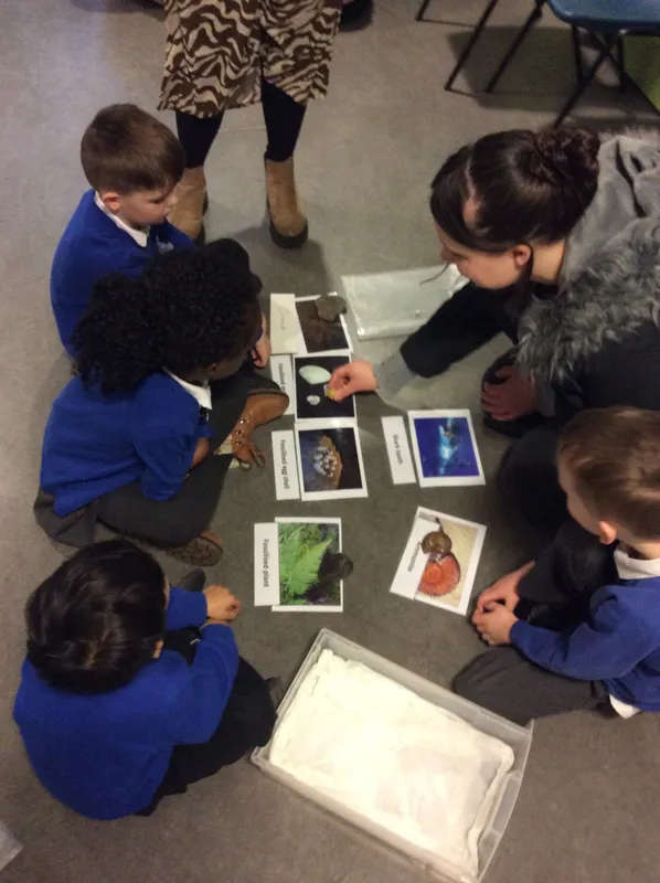 Gallery - created at 2024-02-09 08:14:33 - image 5