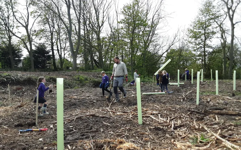 Gallery - created at 2025-04-30 13:12:16 - image 5 Gallery - created at 2025-04-30 13:12:16 - image 5