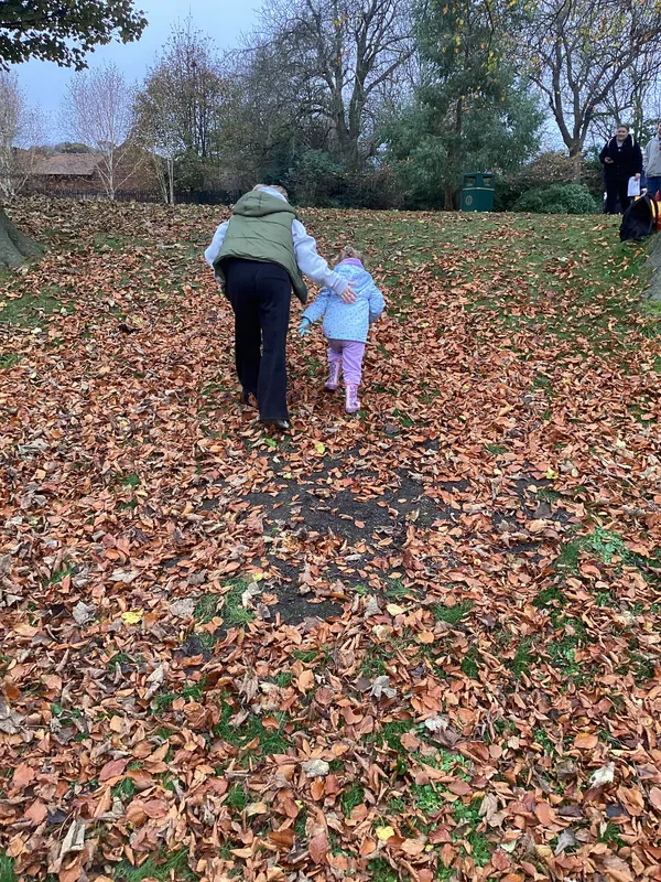 Gallery - created at 2024-11-08 10:10:59 - image 30 Gallery - created at 2024-11-08 10:10:59 - image 30