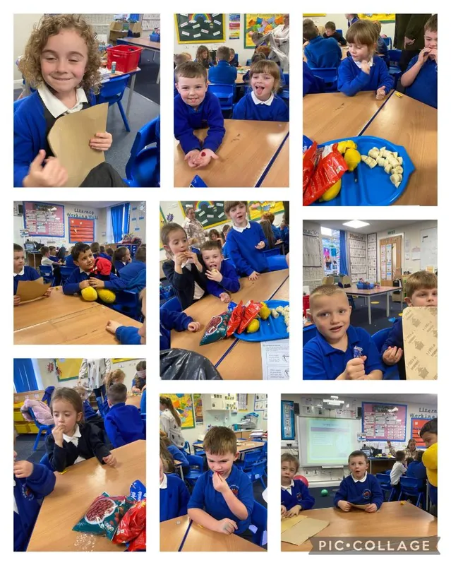 Year 1 - image 11