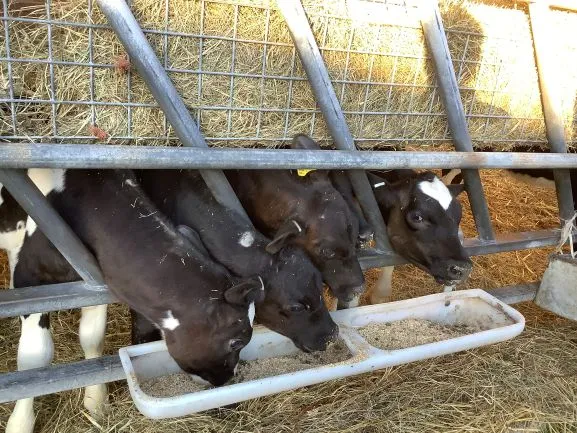 Farm Trip 25 - Gallery 2 - image 35