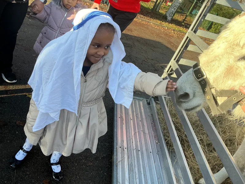 Stella farm on wheels Part 1 - image 36