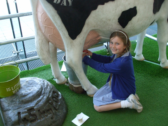 DSCF7133.JPG